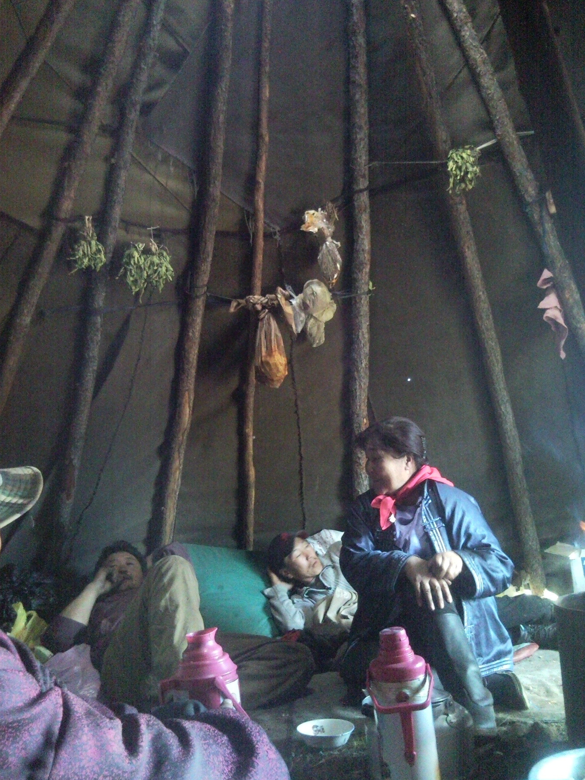 mongolian nomads image